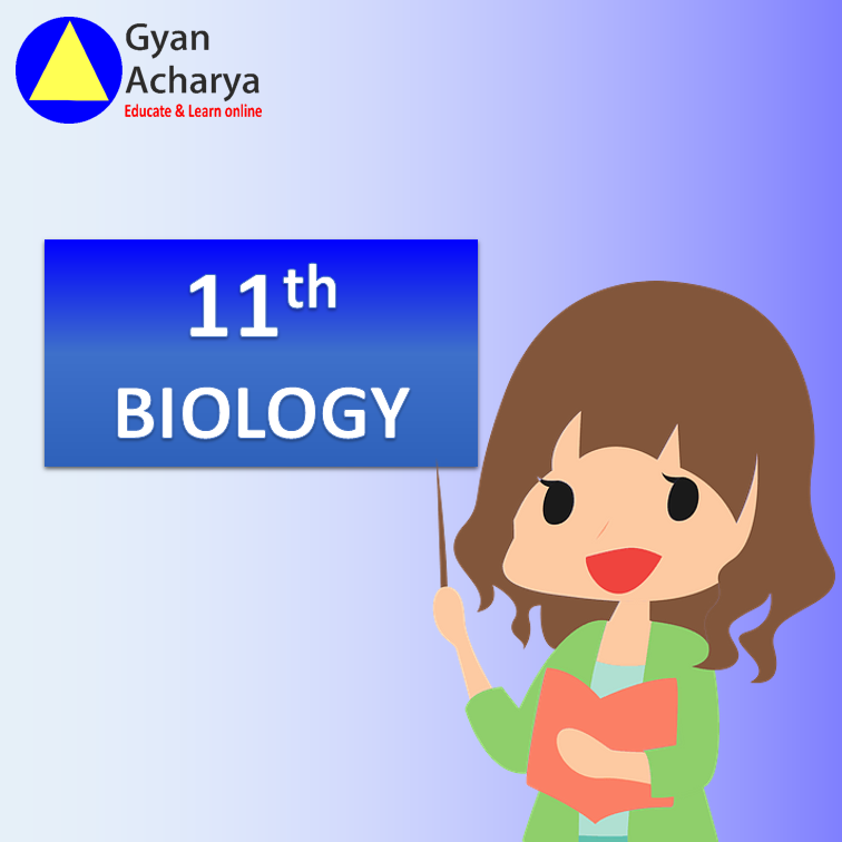 Class 11 Physics, Chemistry & Maths Tuition Guide (2026–27) 6 Class 11 Biology learning slide